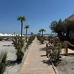Axxis By Avs * Mamaia
