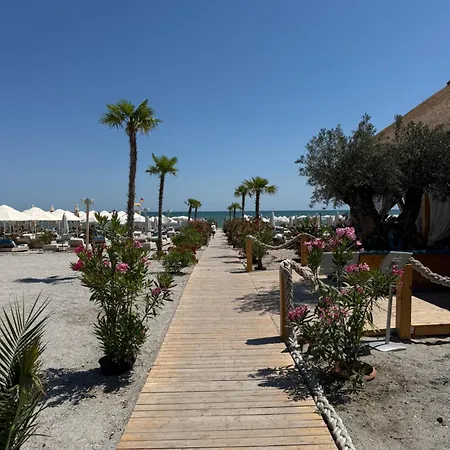 Axxis By Avs * Mamaia